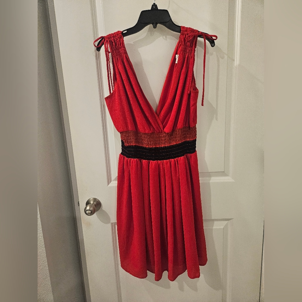 Eva Mendes New York and Company Red Dress large